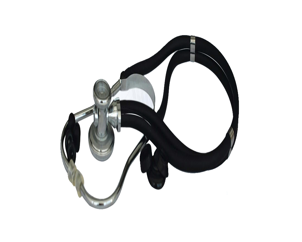 Estetoscopio Rappaport, Homecare